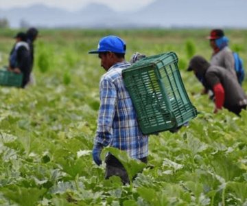 Más de 6 mil trabajadores impulsarán producción en el valle Guaymas-Empalme