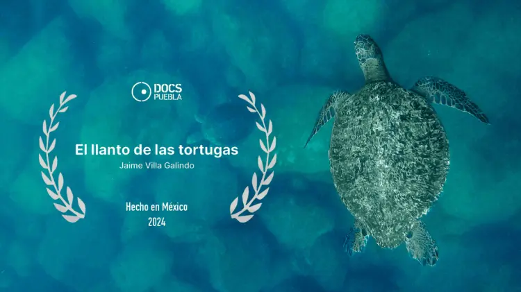 El documental fue galardonado en Docs Puebla 2024. (Foto: Especial)