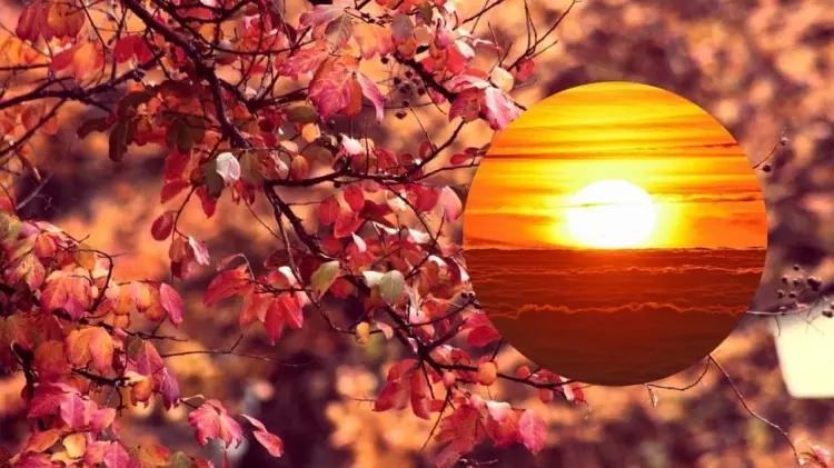 La llegada del otoño viene acompañada de este fenómeno astronómico. (Foto: Especial)