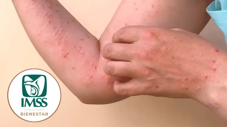 Nucamendi señaló que la alerta contribuye a crear conciencia en la población. (Especial / EXPRESO)