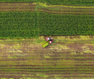 Sonora impulsa seguridad alimentaria con huertos familiares en Fronteras