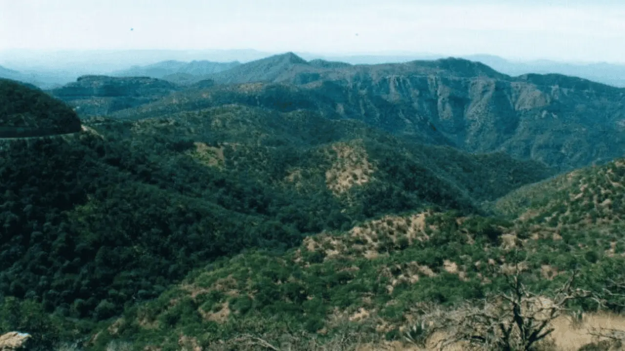Se recuperan ecosistemas con la inducción de lluvias: Sagarhpa