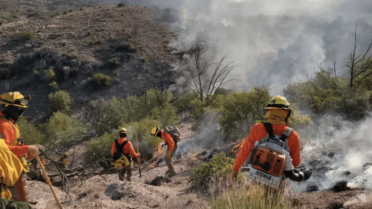 El año en el que el fuego dejó menos daños en Sonora fue 2001. (Foto: Archivo / @cepcsonora)