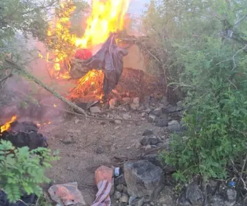 Desmantelan campamento clandestino en alrededores de Opodepe