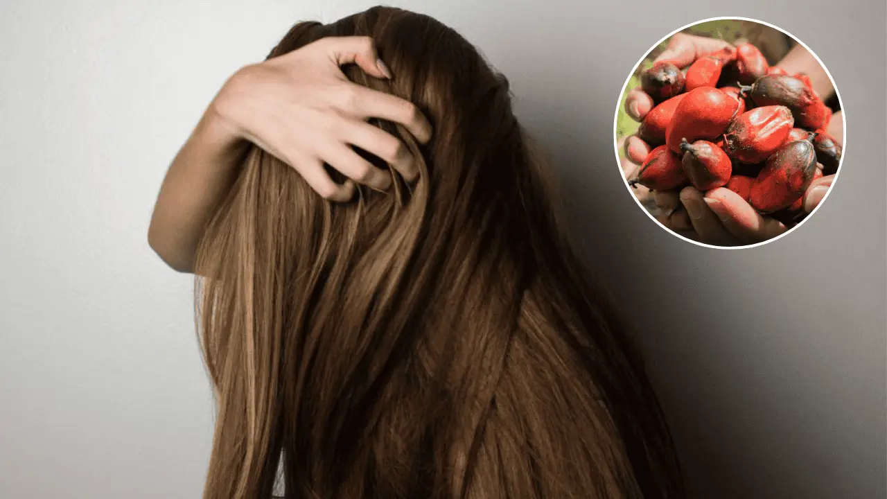 Este aceite hidrata el cabello, fortalece los folículos y mejora el brillo