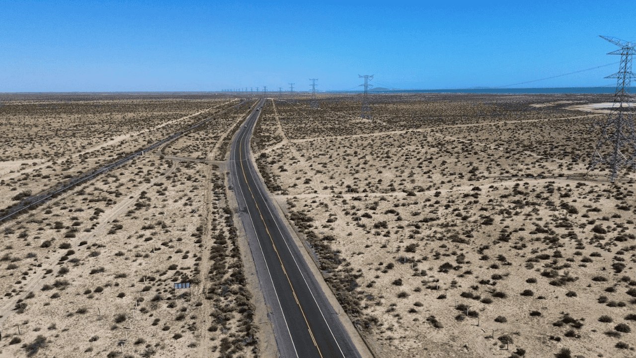Buscadoras regresan al desierto sonorense