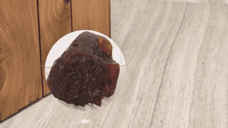 La piedra de 3.5 kilos de ámbar fosilizado se encuentra en el Museo de Buzau. (Foto: Especial)