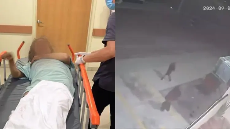 El video del ataque se viralizó en redes sociales. (Foto: Especial/EXPRESO)