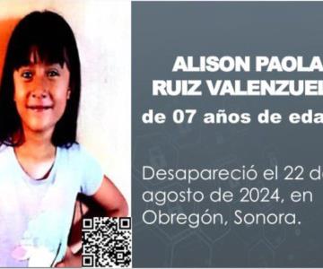 Activan Alerta Amber para localizar a Alison Paola, menor desaparecida