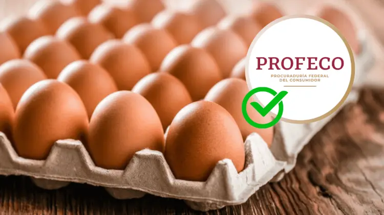 La Profeco evaluó 24 marcas de huevos para  identificar aquellas con mayor aporte. (Foto: Especial)