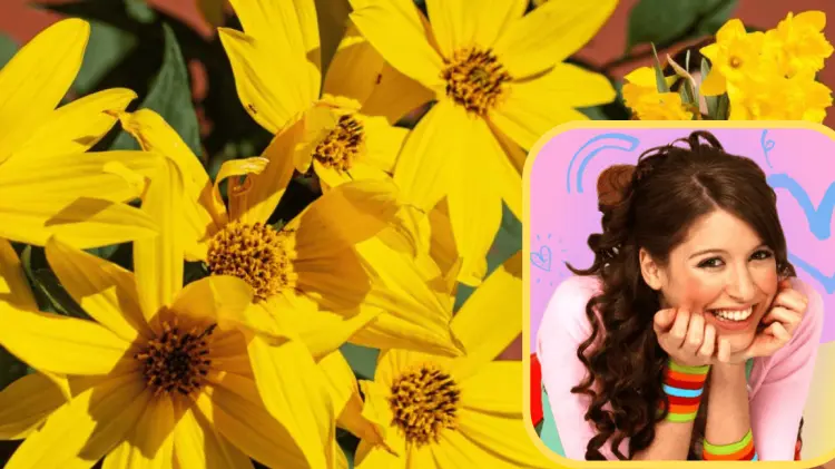 Cada 21 de septiembre se regalan flores amarillas. (FOTO; ESPECIAL/EXPRESO)