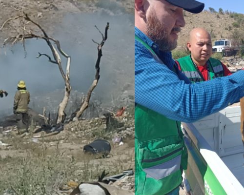 Rescatan en incendio a perrito abandonado