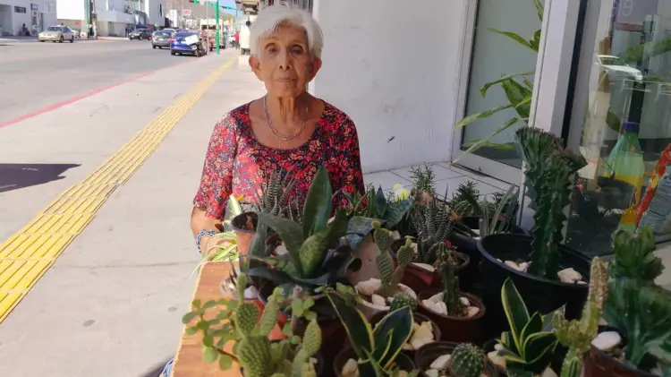 María Jesús vende sus plantas en el centro de Guaymas.