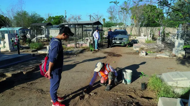 La asociación plantó 500 árboles en el Panteón Yáñez, en colaboración con el Ayuntamiento.