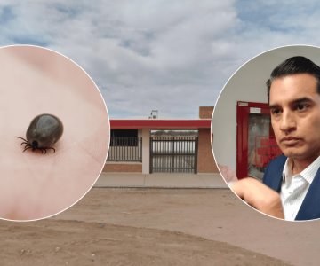 Alumno contrae rickettsia en primaria de Hermosillo; SEC toma precauciones