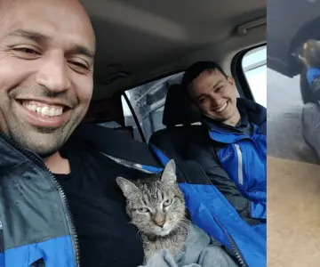 Rescatan a gata durante huracán Milton en Florida