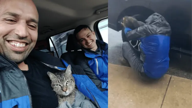 Millie fue valorada por médicos veterinarios. (Fotos: Tomadas de redes)