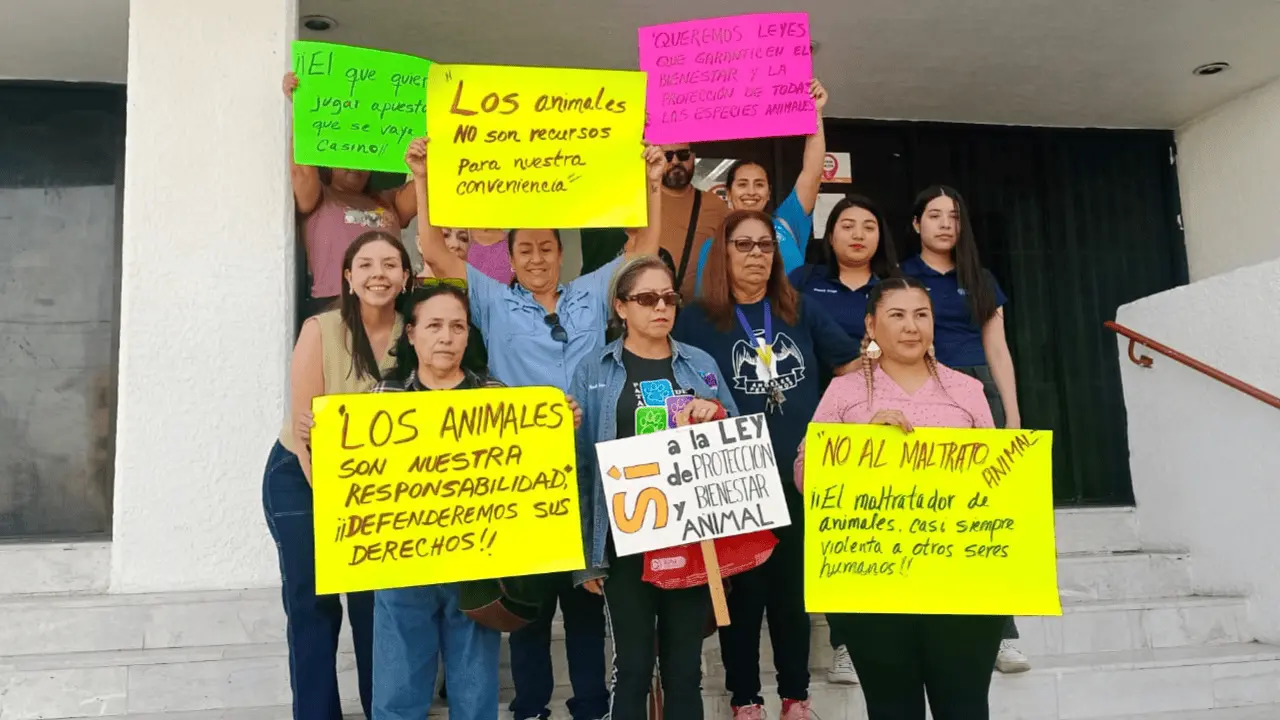 Respaldan colectivos impulso de la Ley de Protección y Bienestar Animal