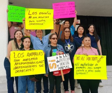 Respaldan colectivos impulso de la Ley de Protección y Bienestar Animal
