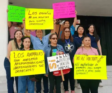 Respaldan colectivos impulso de la Ley de Protección y Bienestar Animal