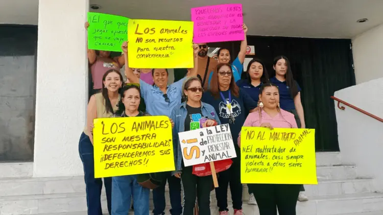 Los colectivos se manifestaron este miércoles. (Foto: María José Noyola / EXPRESO)