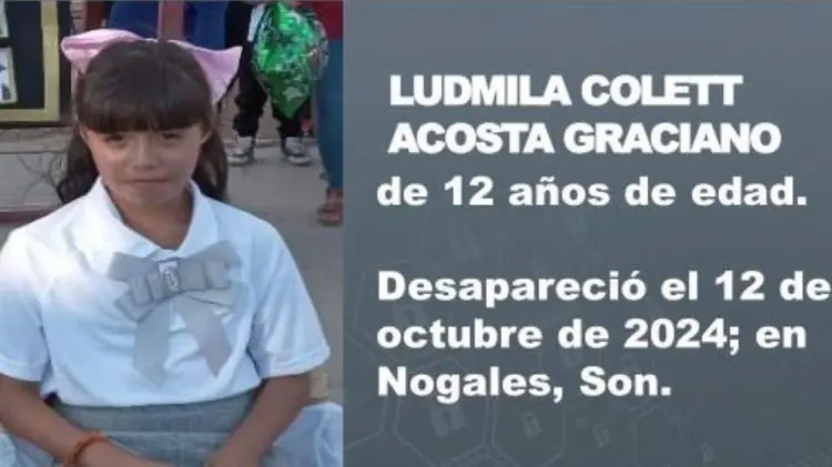 La Fiscalía de Sonora activó la Alerta Amber para localizar a la menor. (Foto: FGJE Sonora)