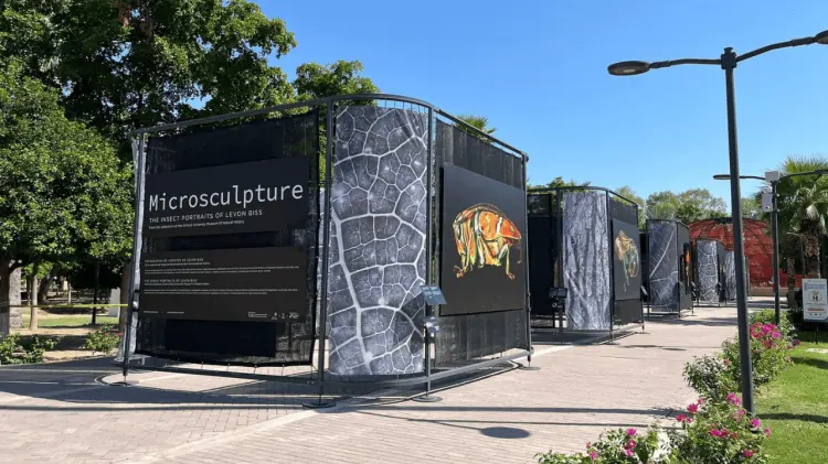 La inauguración contó con una gran participación. (Especial / EXPRESO)