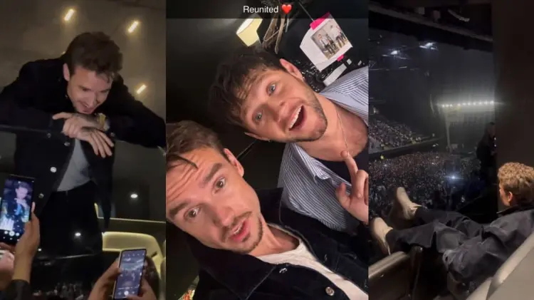 En redes sociales circulan varios videos y fotos de Payne en el concierto. (Foto: Especial)