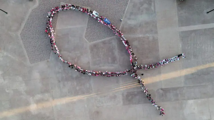 En Nogales, Magdalena, Ímuris, Guaymas y Hermosillo realizaron diversas actividades.
