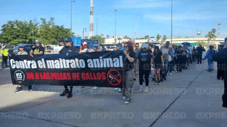 Están a favor de la Ley tal cual se había aprobado en septiembre pasado. (Foto: Ana María López)