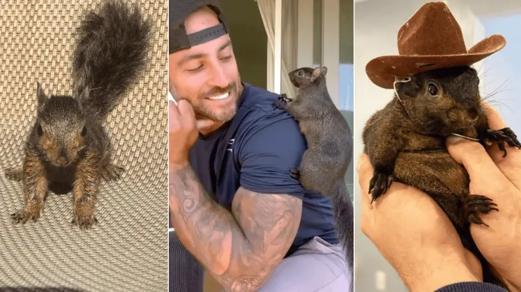 Peanut era la mascota de Mark Longo, quien hacía contenido con ella para redes. (Foto: Cortesía)