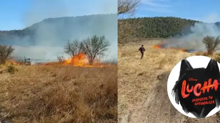 La dueña del terreno acusó que quemaron aproximadamente 10 hectáreas. (Fotos: Capturas de video)