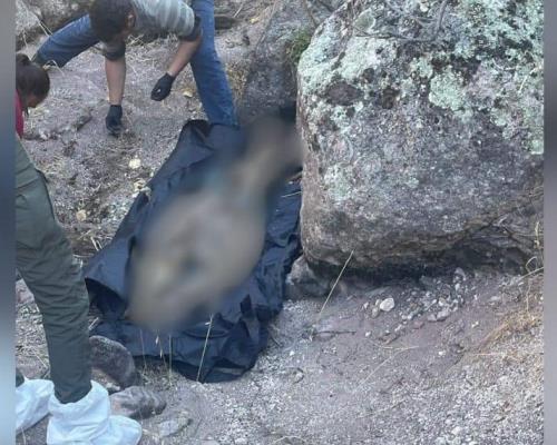 Madres Buscadoras de Sonora localizan crematorio clandestino en Nogales