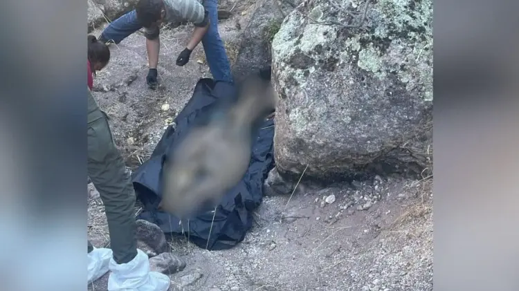 El hallazgo tomó lugar en el camino al rancho El Ruido. (Foto: Madres Buscadoras de Sonora)