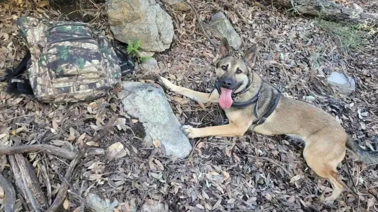 Foto: Especial / EXPRESO.