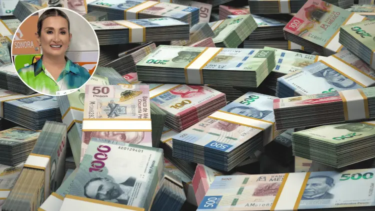 Elly Sallard detalló que los diputados tendrán un mes para hacer la revisión. (Especial / EXPRESO)