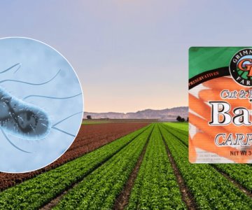 Alertan por brote de E. coli en zanahorias; ya ha fallecido una persona