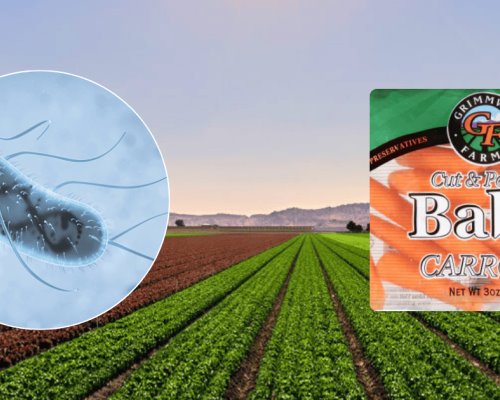 Alertan por brote de E. coli en zanahorias; ya ha fallecido una persona