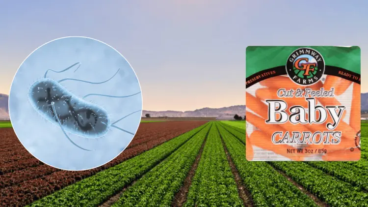 La CDC ha llamado a desechar los productos de Grimmway Farms por posible contaminación. (Cortesía)