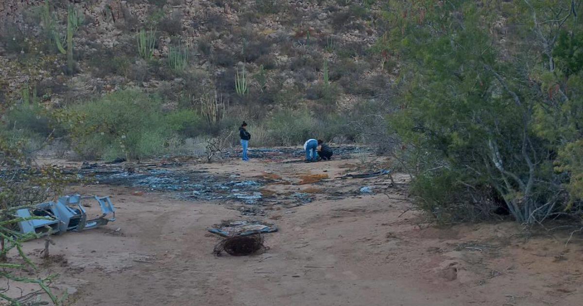 Guerreras Buscadoras localizan restos humanos en el valle de Empalme