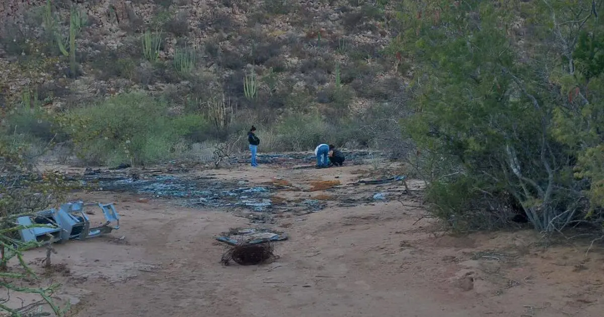 Guerreras Buscadoras localizan restos humanos en el valle de Empalme