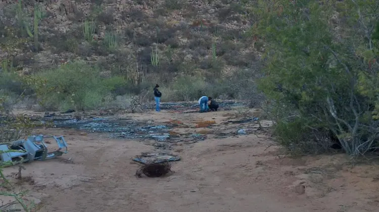 La búsqueda se realizó en el camino viejo que conduce al basurón en la zona del valle. (Fotos: Redes)
