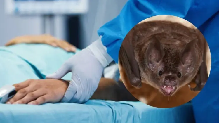 El hombre fue mordido por el animal el pasado mes de octubre. (Foto: Especial)