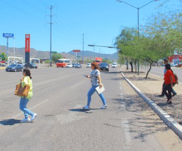 Peatones al celular son causa de accidentes viales: Tránsito Municipal