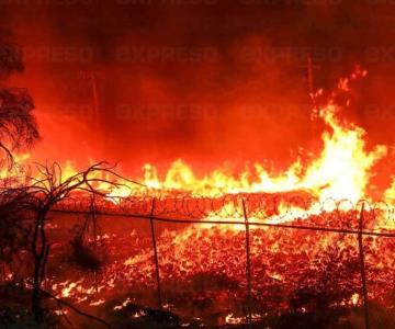 Bomberos de Hermosillo combaten fuerte incendio en El Tazajal