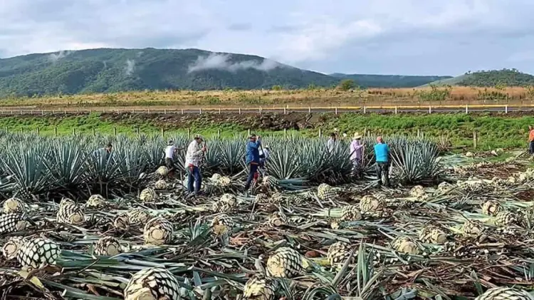 Foto: Especial / EXPRESO.