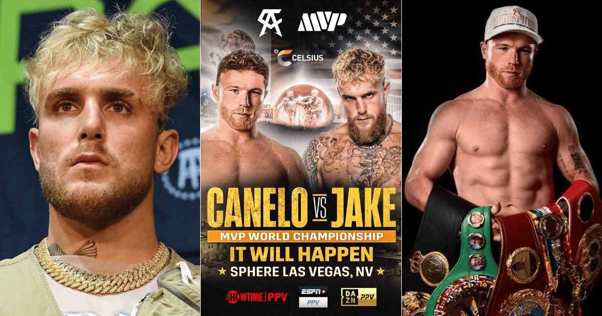 Jake Paul, sin posibilidades contra Canelo, dice Dana White