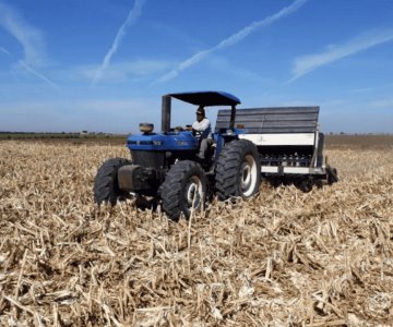 Sur de Sonora sembrará el 30% en campos agrícolas por falta de agua