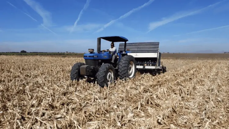 La falta de agua ha requerido una reducción del recurso para el campo. (Especial / EXPRESO)