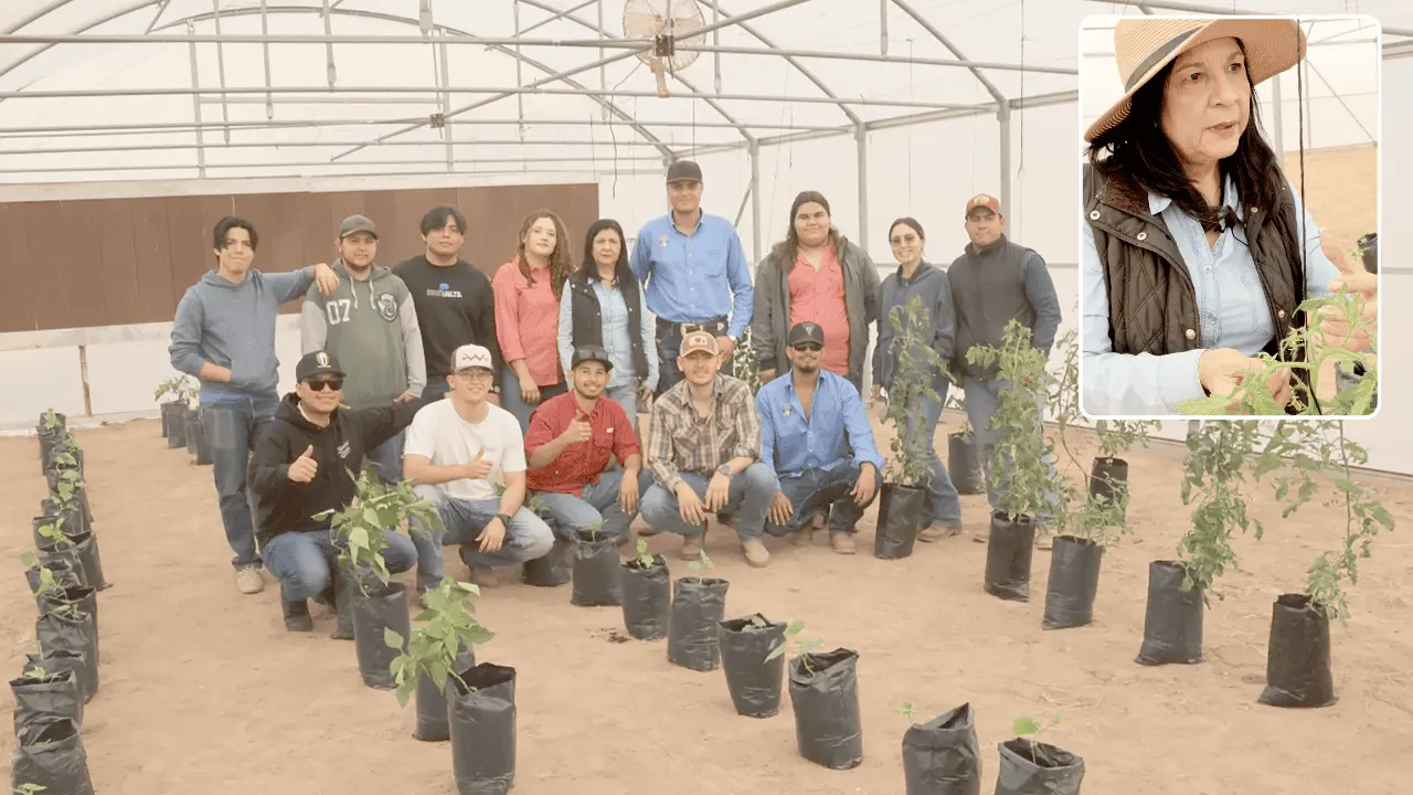 Estudiantes le apuestan a lo verde a través del cultivo de hortalizas